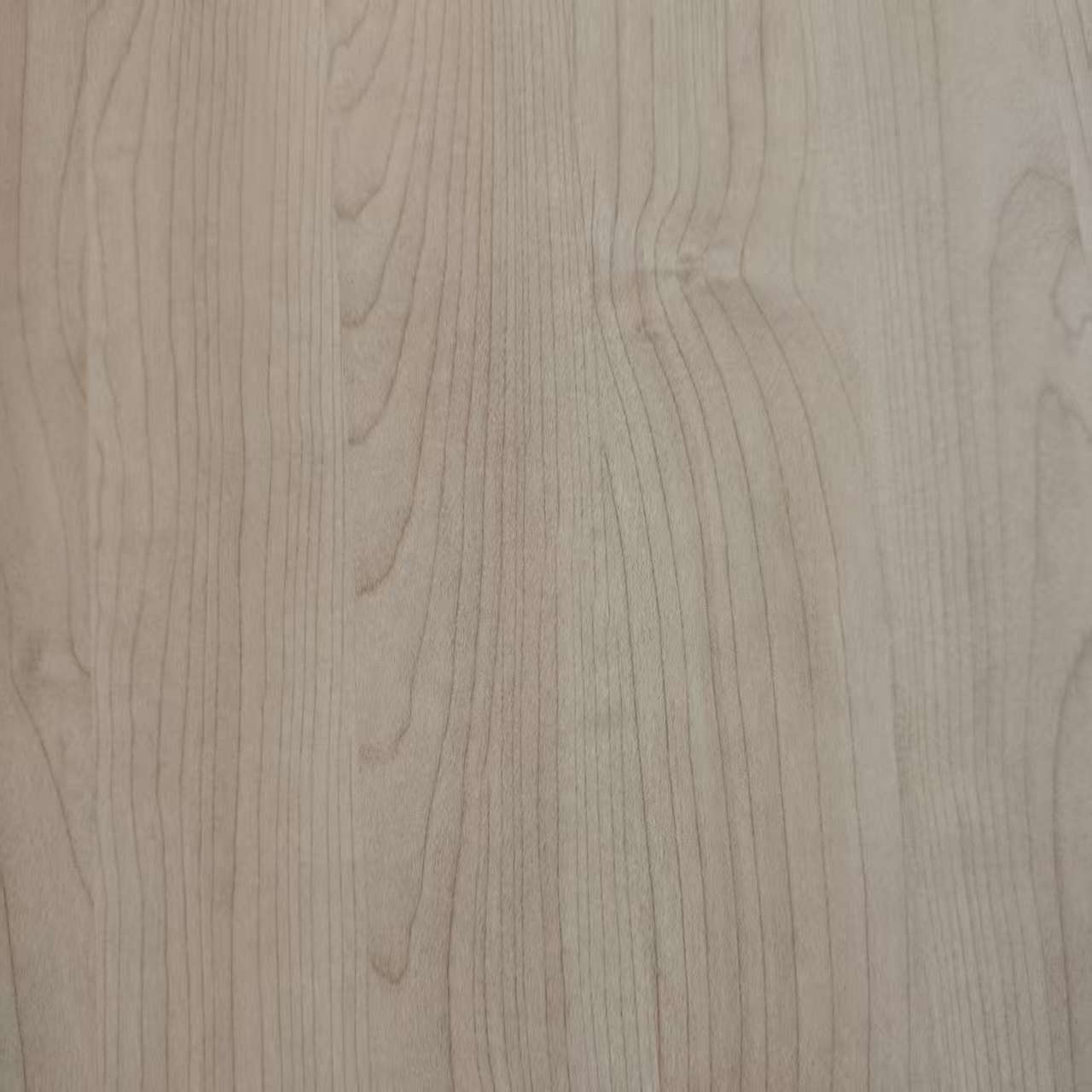 Melaminpapier8031-10